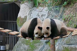 雷竞技之类的平台截图2